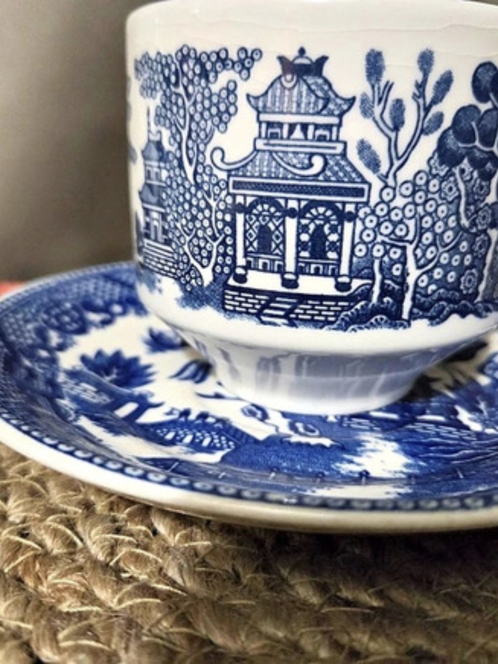 Johnson Brothers Indies Blue & White Cup and Saucer